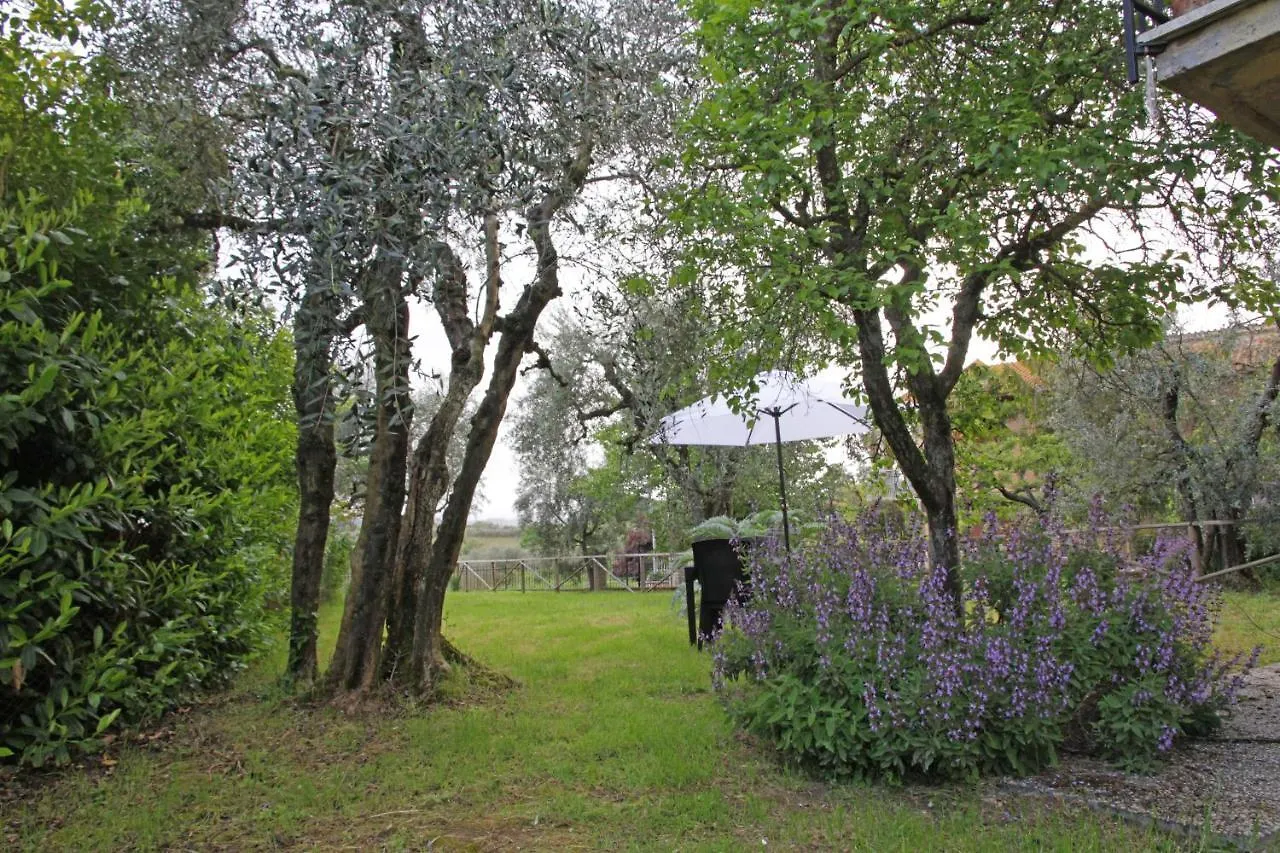 Casa Marisa Siena Villa San Giovanni  San Giovanni (Siena)